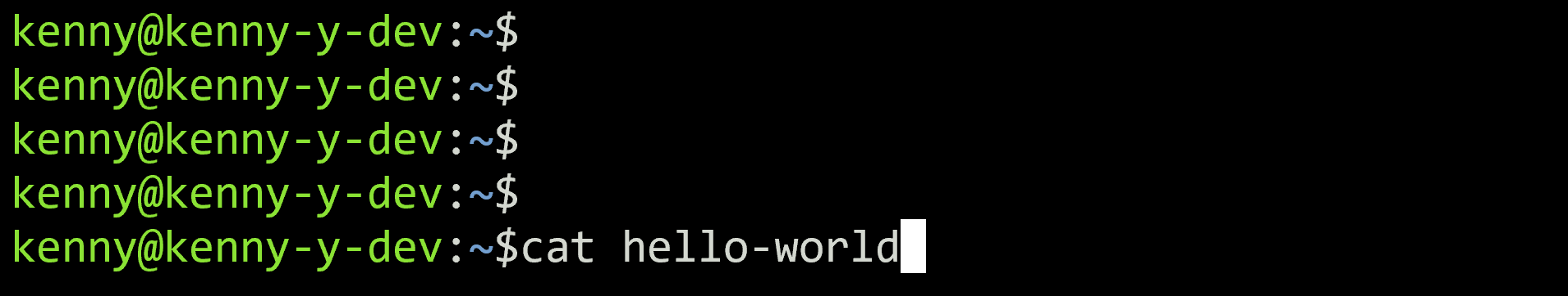 hello world prompt